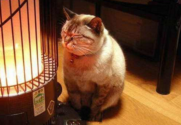 無(wú)油空壓機(jī)